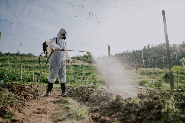 Best Best Pest Control Companies  in Gleed, WA