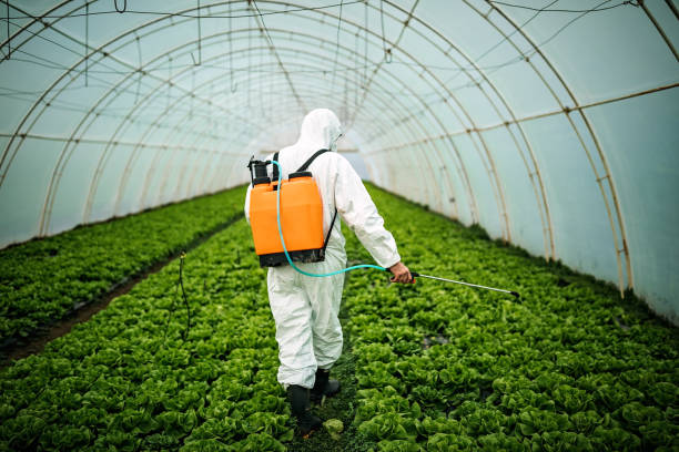 Best Pest Control Near Me  in Gleed, WA