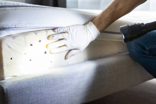 Best Residential Pest Control  in Gleed, WA