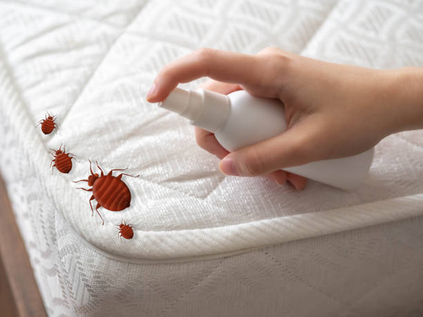 Best Exterminator Services  in Gleed, WA