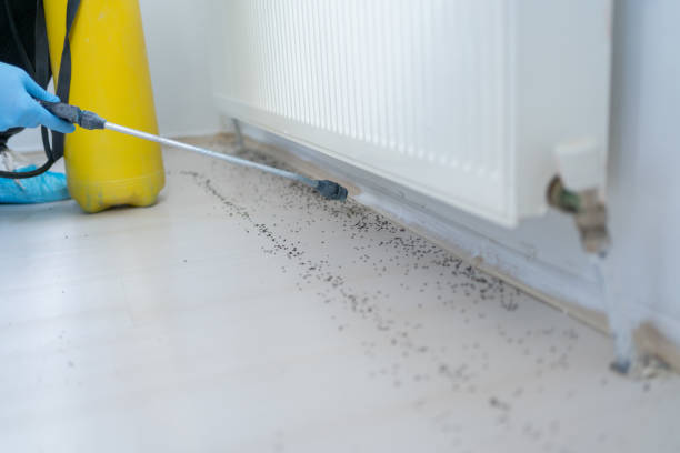 Best Commercial Pest Control Services  in Gleed, WA